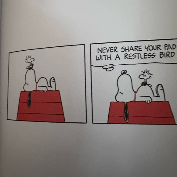 The Philosophy of Snoopy Book - Red Cover - Picture 5 of 6